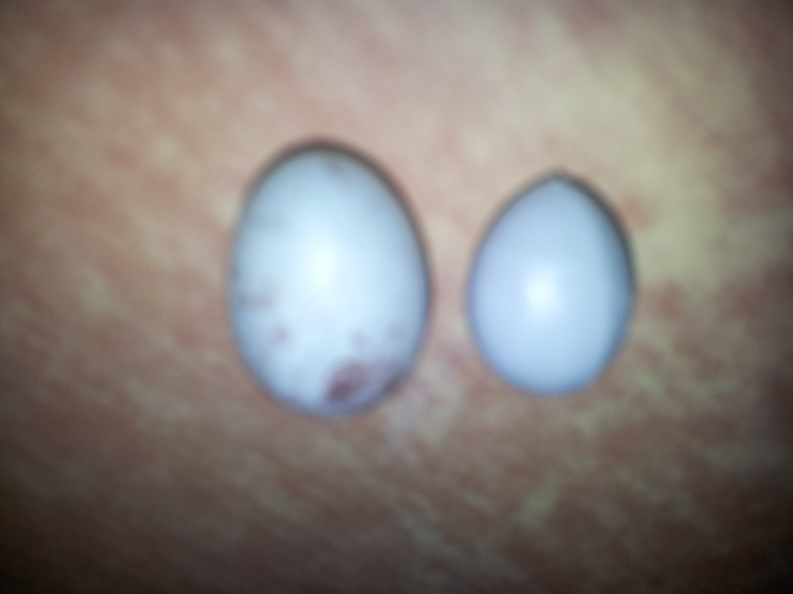 2013-06-08 13.01.29.jpg