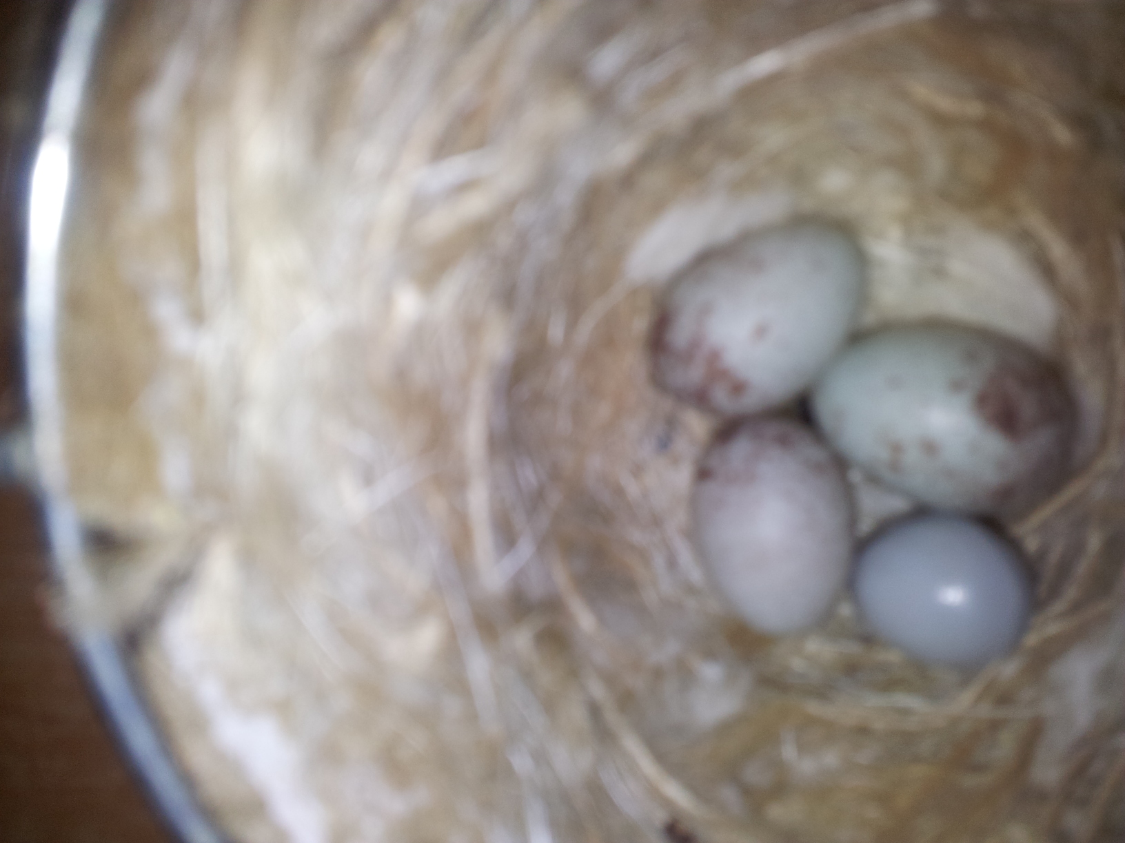 2013-06-08 13.01.50.jpg