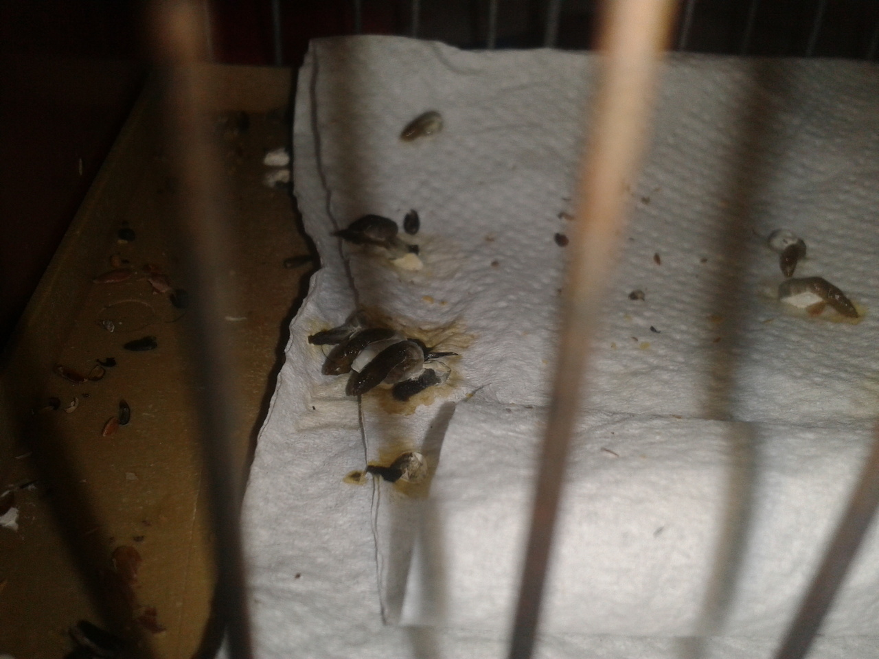 2013-06-09 16.05.51.jpg