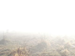 P2070002.JPG