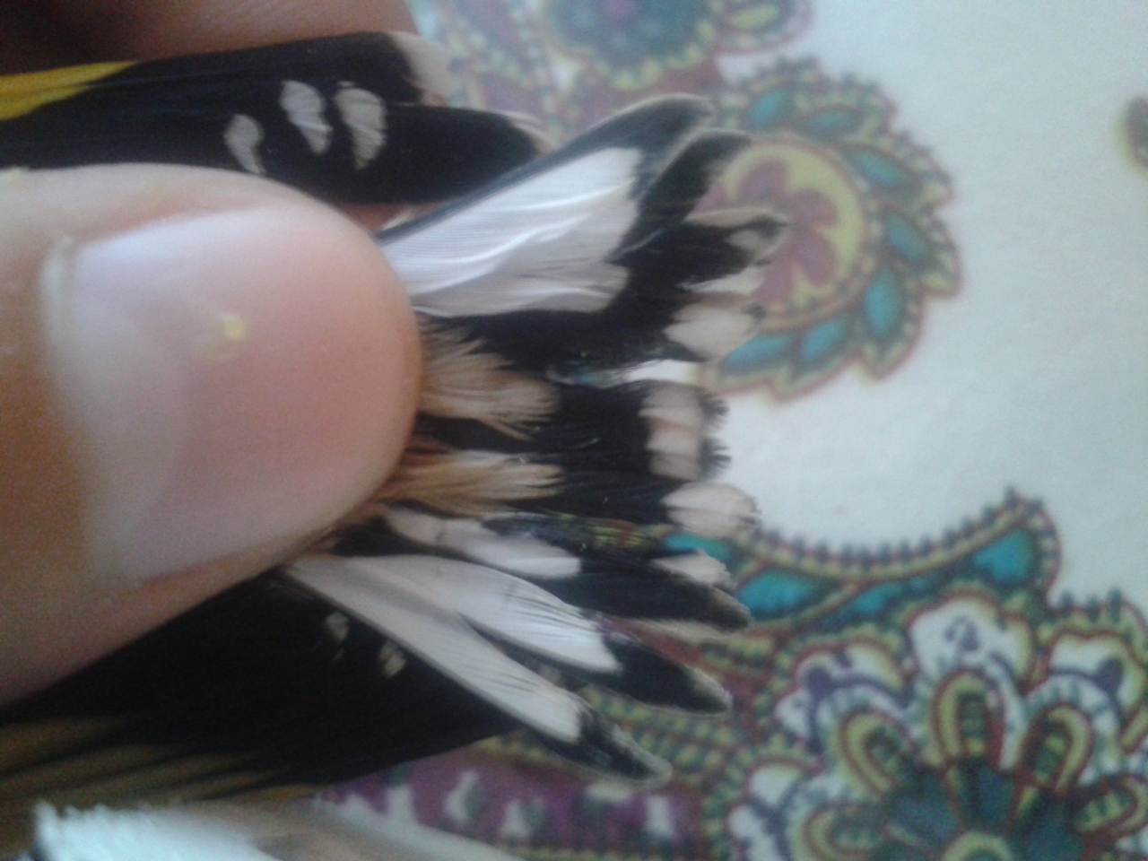 20130611_162721.jpg