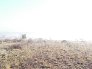 P2070003.JPG