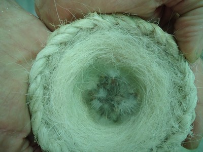 remixtos3 tito colorin (Copiar).JPG