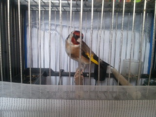 2013-06-17 18.41.10.jpg