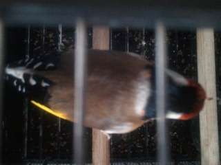 2013-06-17 18.40.34.jpg