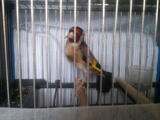 2013-06-17 18.40.02.jpg