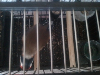 2013-06-17 18.38.38.jpg