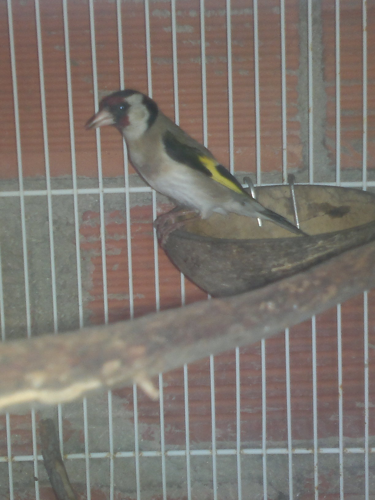 2013-06-20-208.jpg