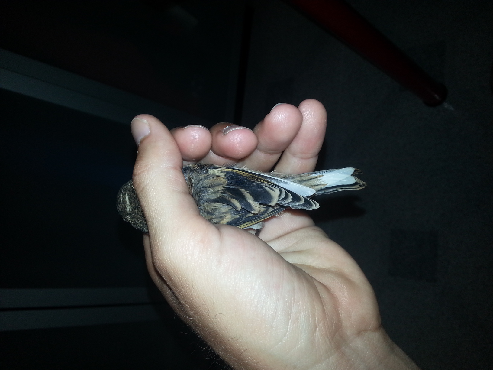 20130621_101135.jpg