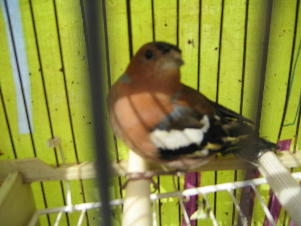 IMG_4848.JPG