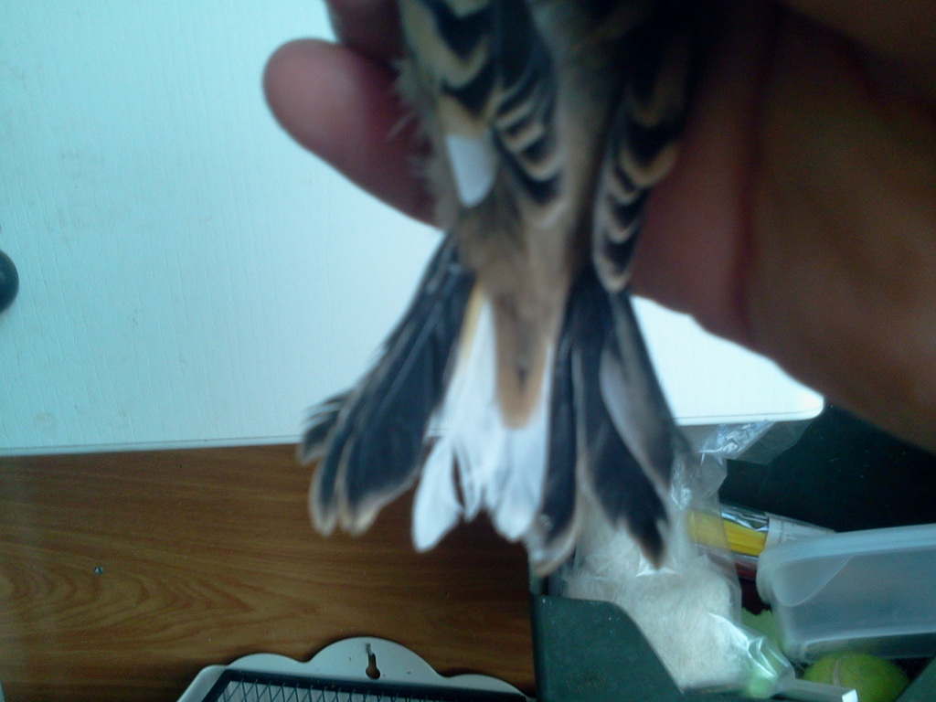 2013-06-21 17.43.43.jpg