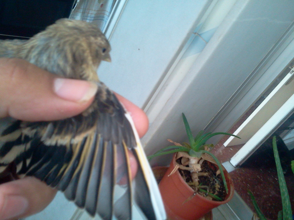 2013-06-21 17.43.56.jpg