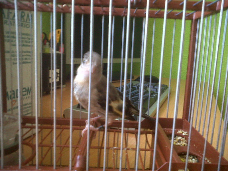IMG00463-20130622-1144.jpg