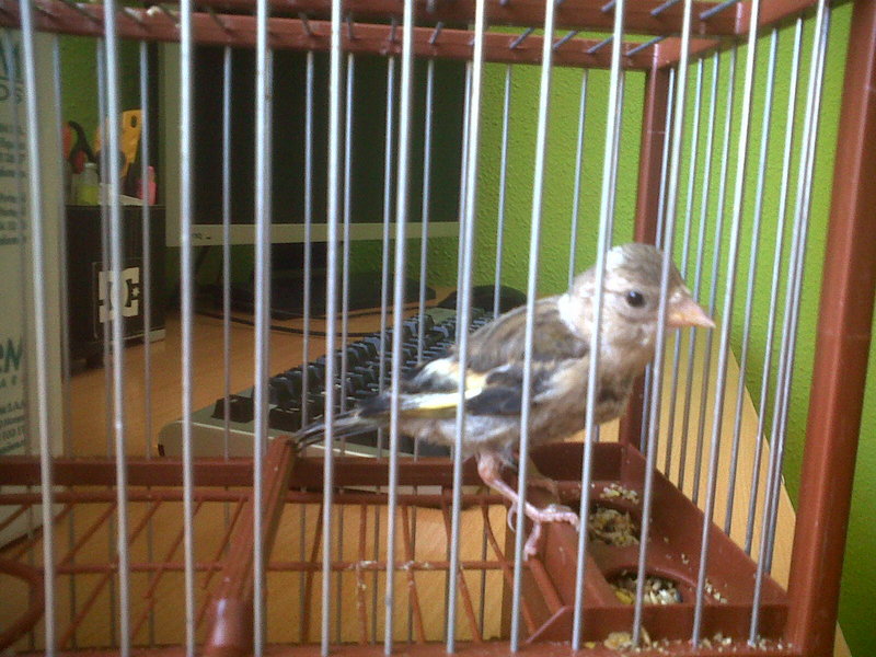 IMG00464-20130622-1144.jpg