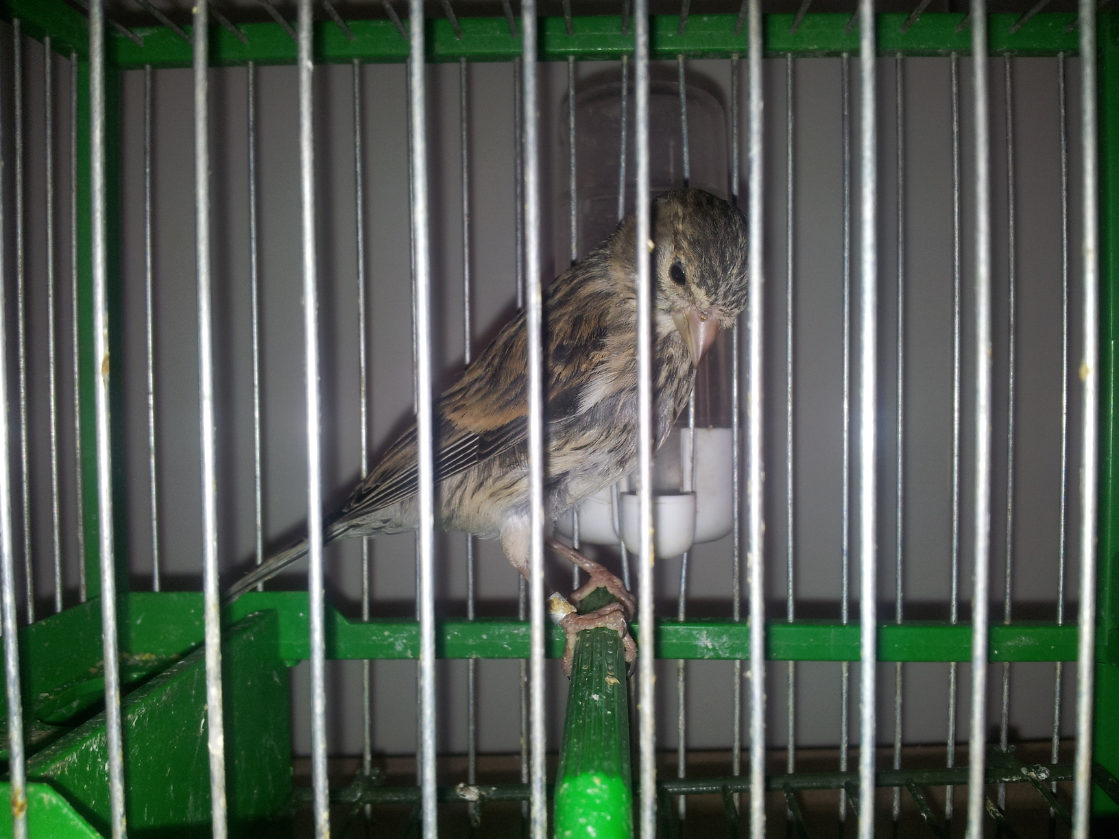 20130621_095352.jpg