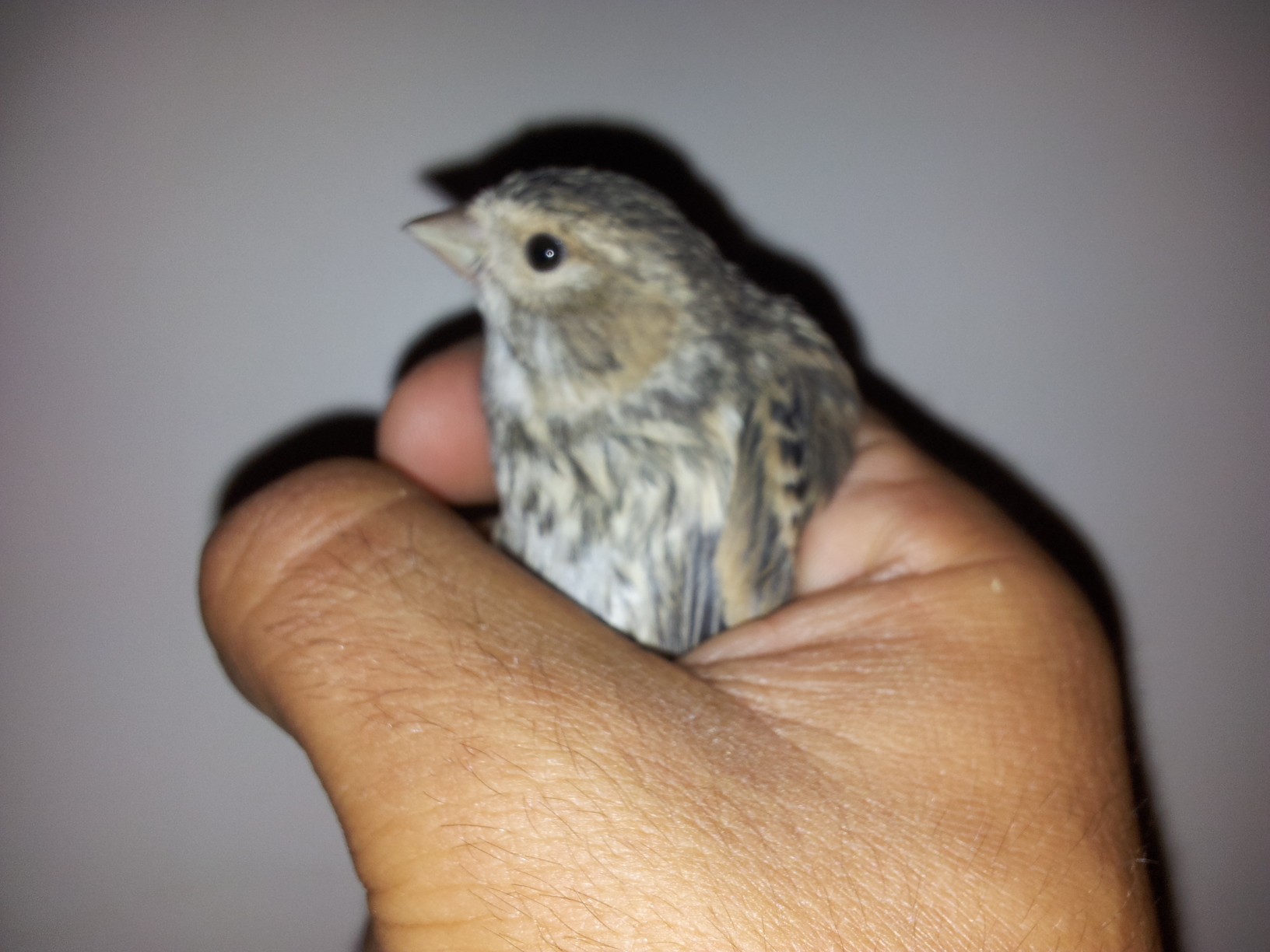 20130616_211546.jpg