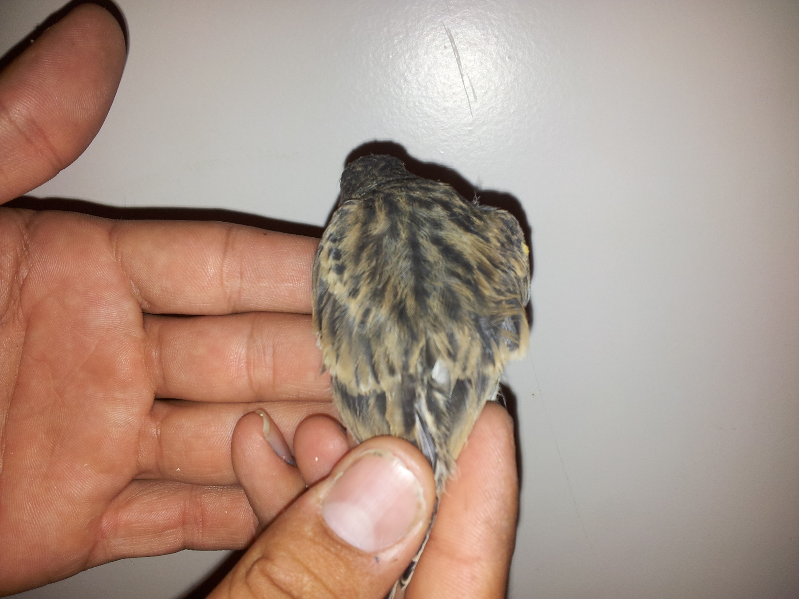 20130616_211603.jpg