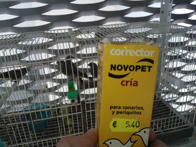 Novopet cria