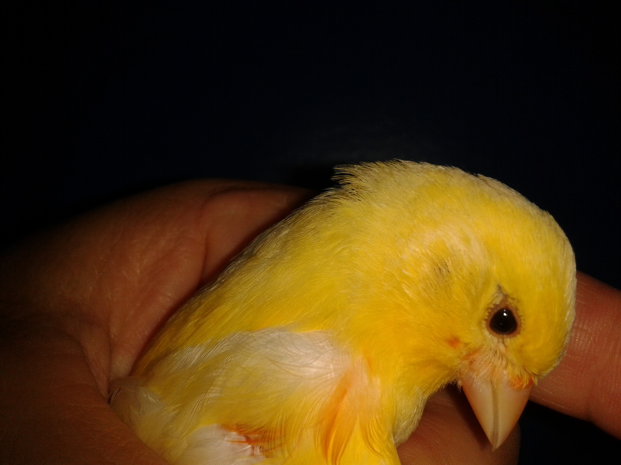 2013-06-25 13.09.01.jpg