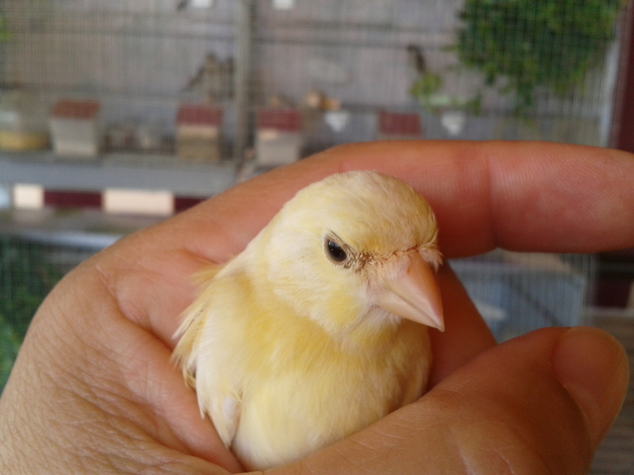 2013-06-25 13.12.48.jpg