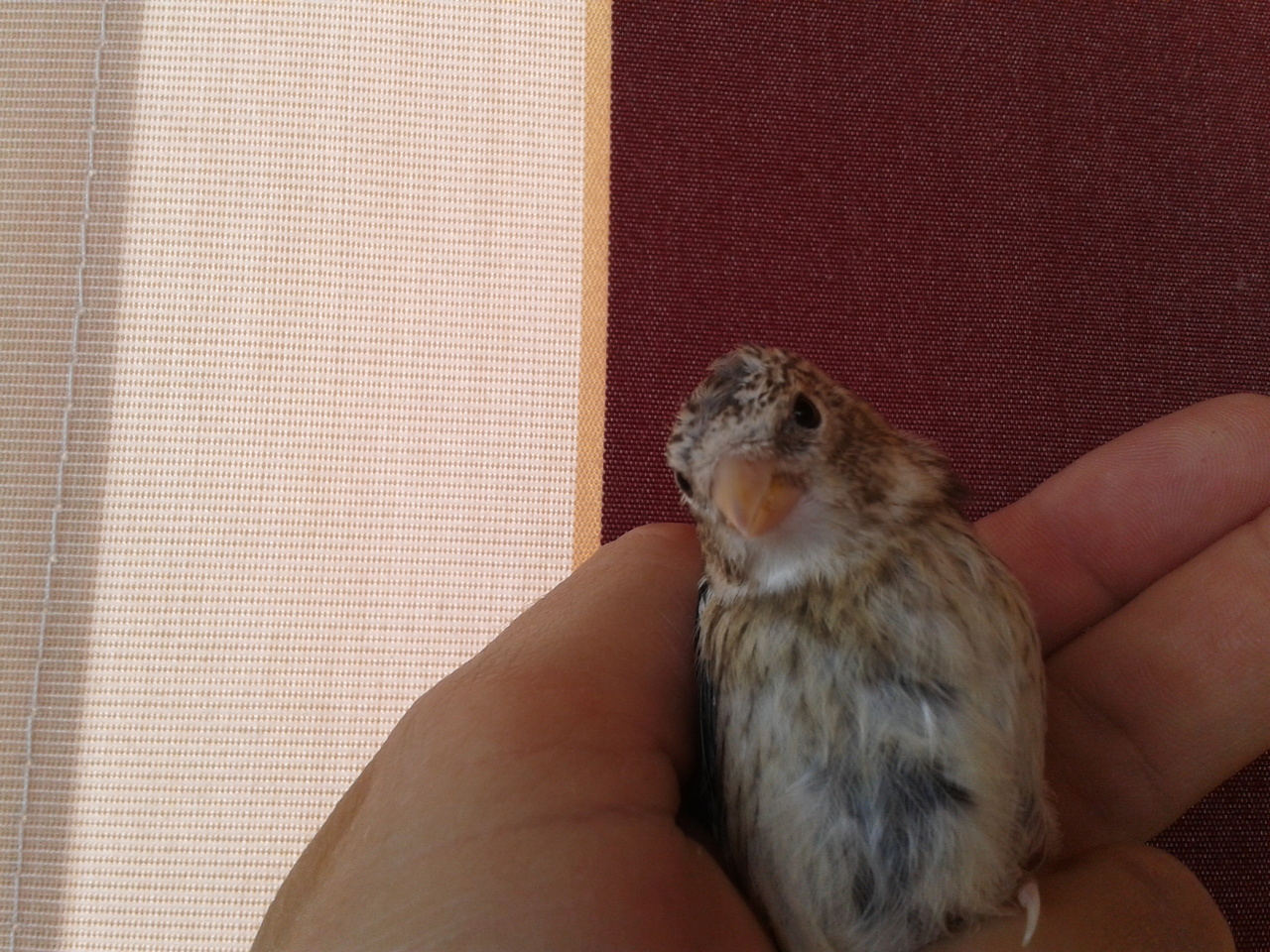 2013-06-25 13.18.38.jpg