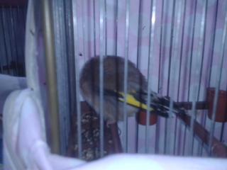 2013-07-01 20.16.14.jpg