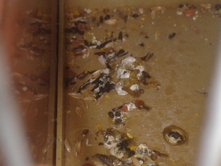 2013-07-01 20.16.32.jpg