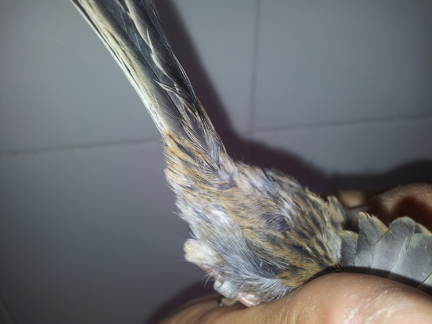 20130701_194310.jpg