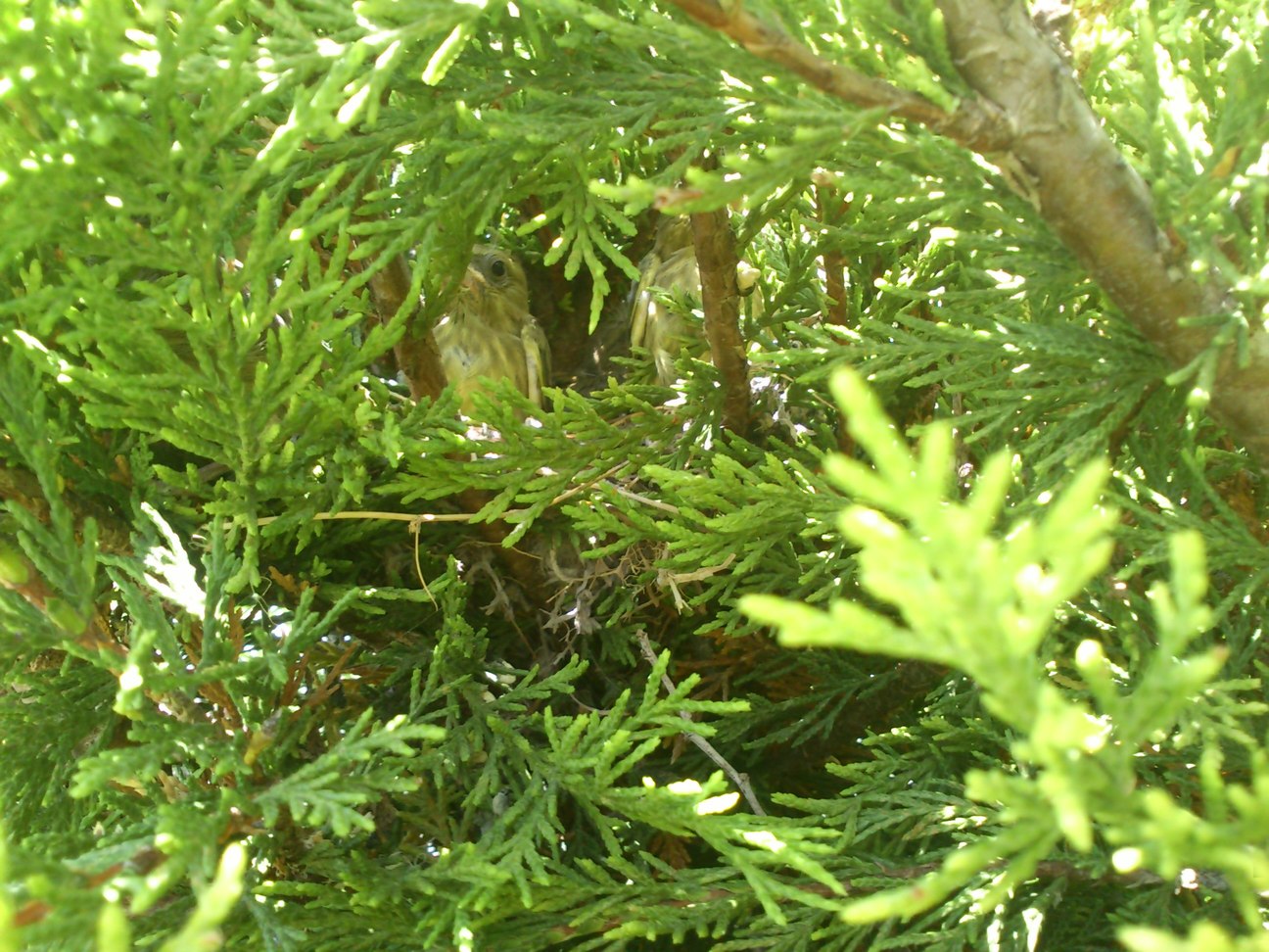 DSC_0002.JPG