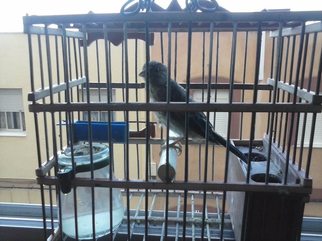 CAM00102.jpg