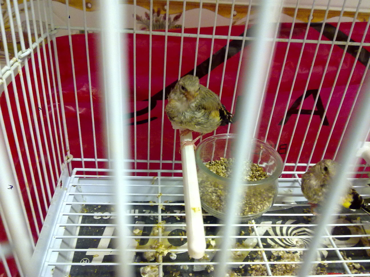 09072013457.jpg
