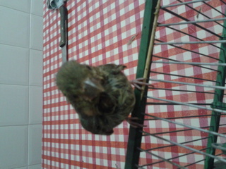 20130710_221350.jpg