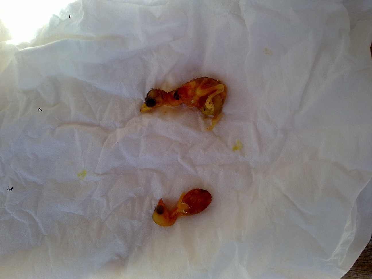 12072013462.jpg