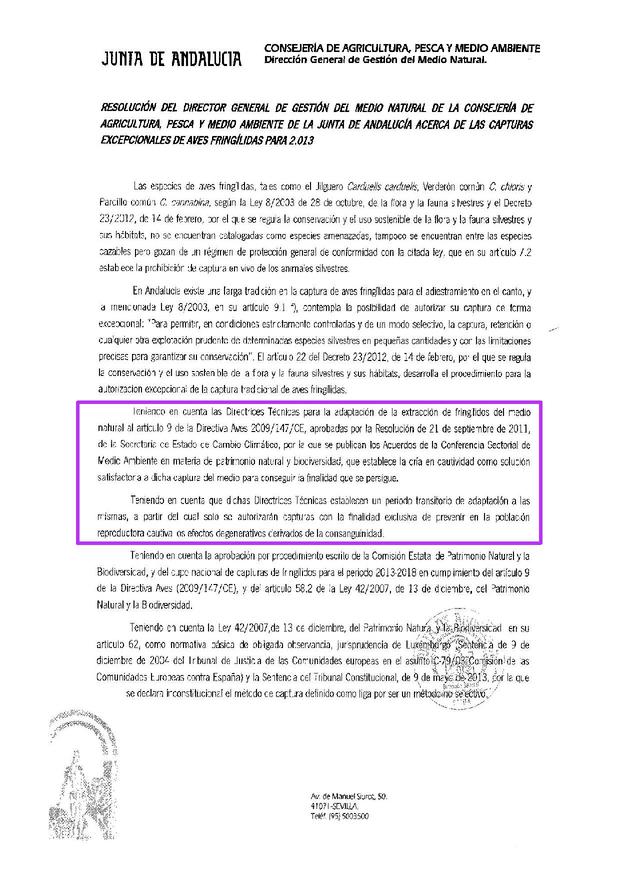 Sin título 2.jpg
