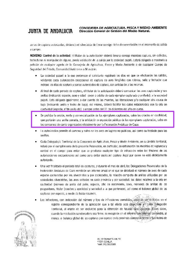 Sin título 3.jpg
