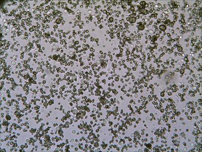 TS_07_09_14_53_52.jpg