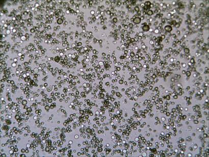 TS_07_09_14_53_35.jpg