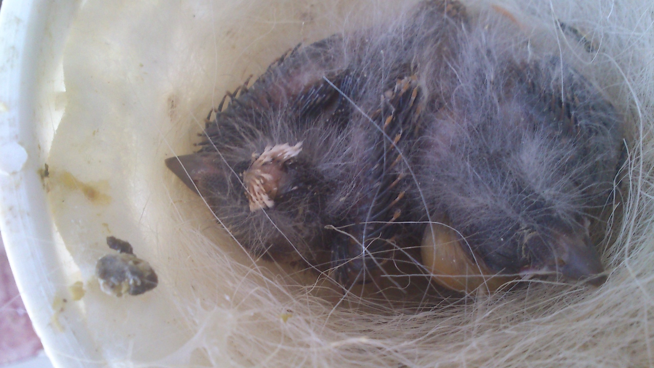 2013-07-16 13.31.57.jpg