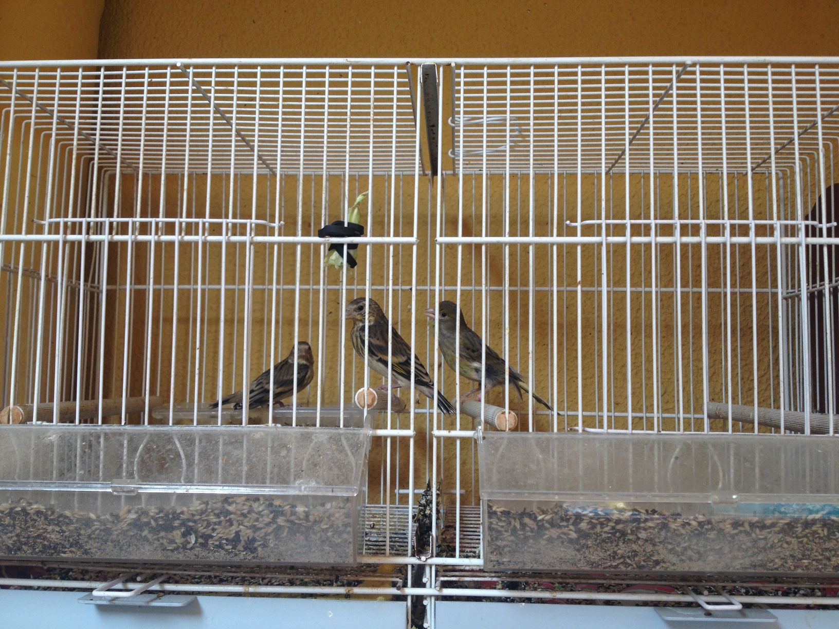 2013-07-18 19.42.16.jpg