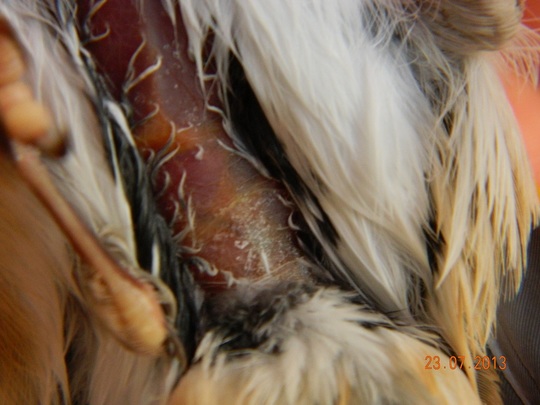 foto6.jpg