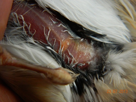 foto4.jpg