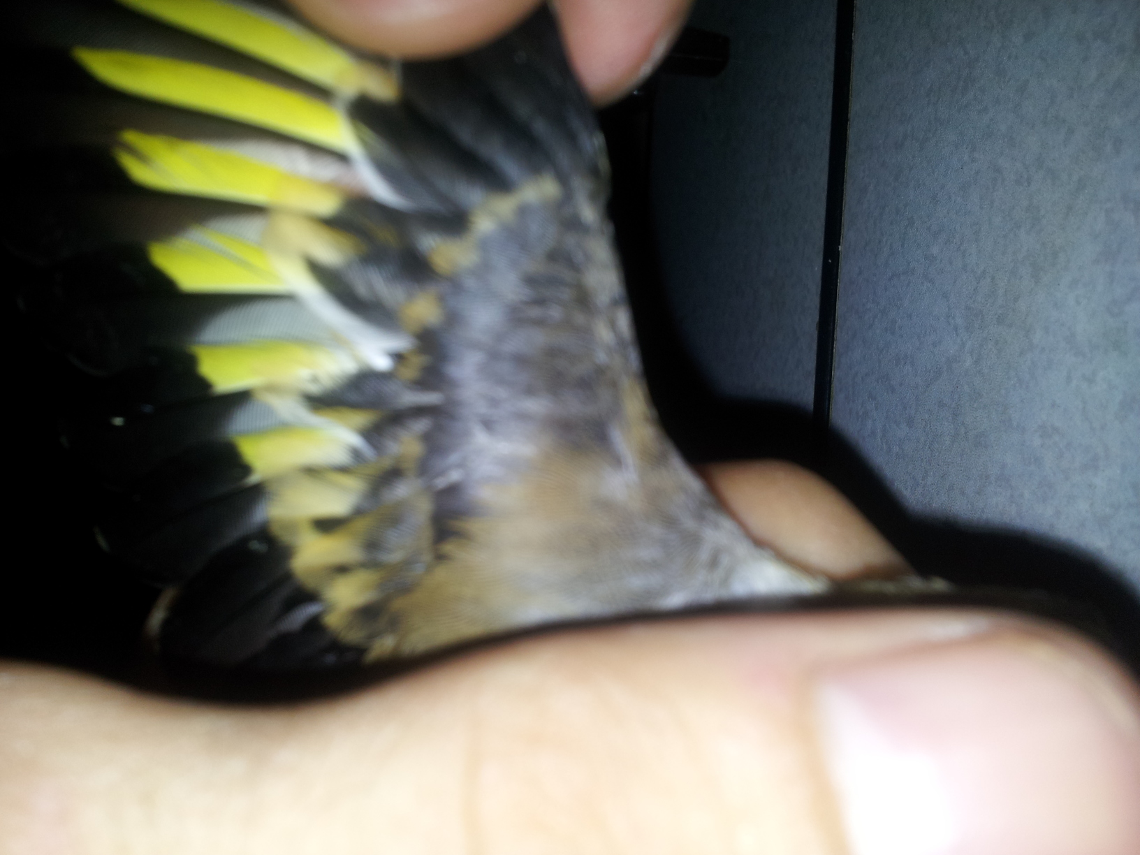 20130725_174712.jpg