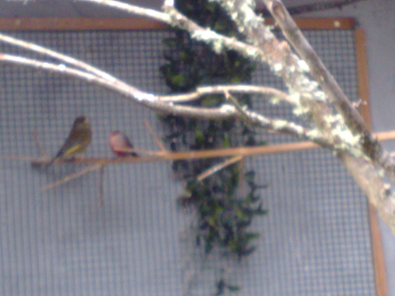 14022011297.jpg