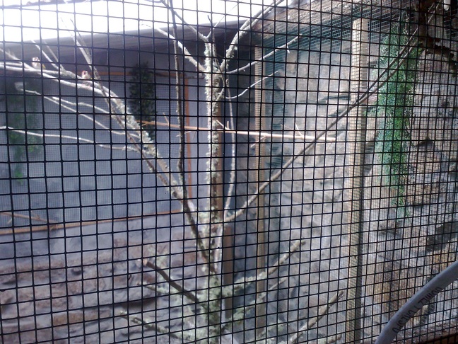 14022011293.jpg