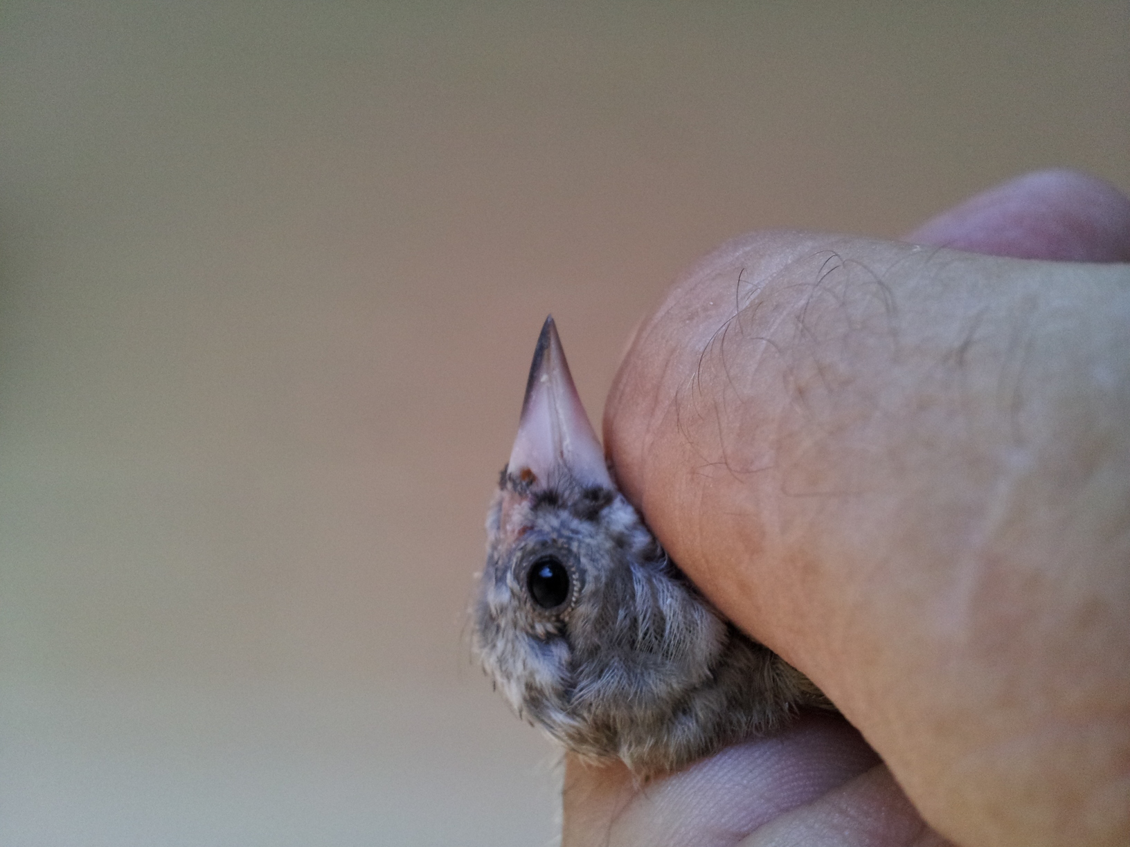 20130729_172852.jpg