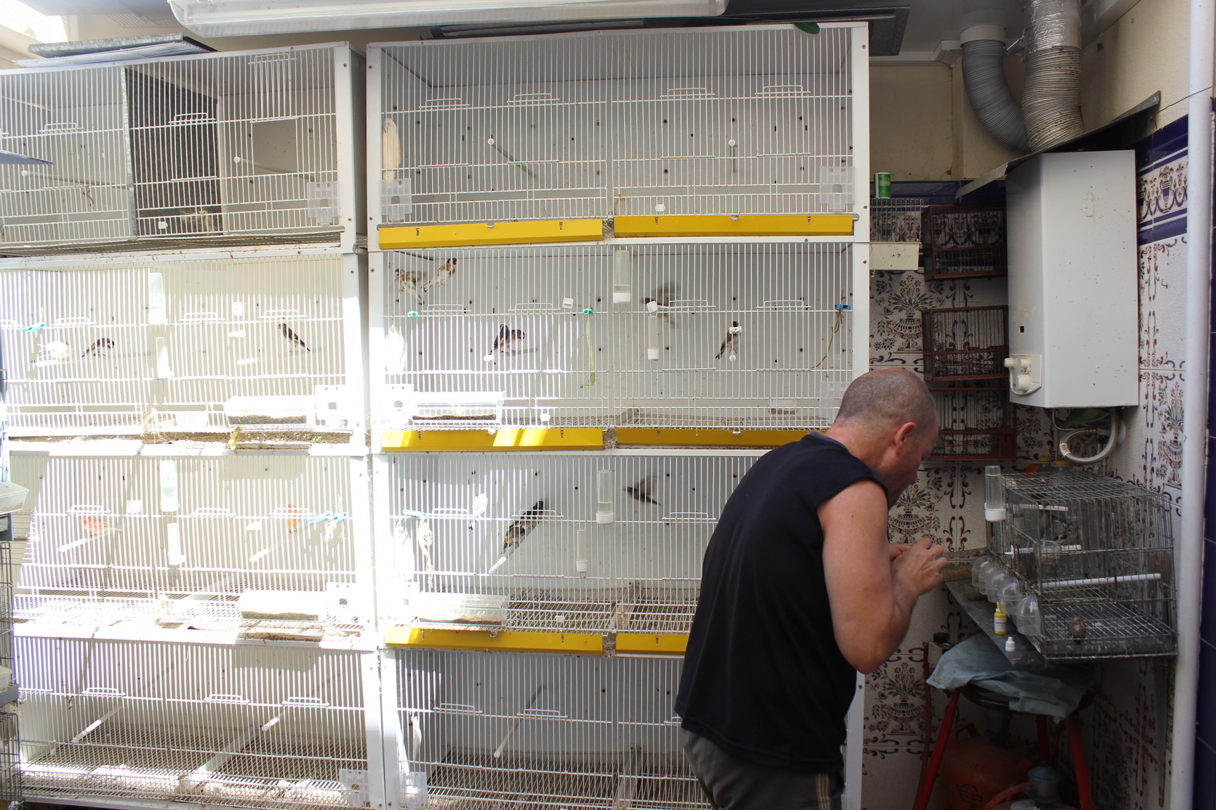 Abusando sexualmente de mis chivones!