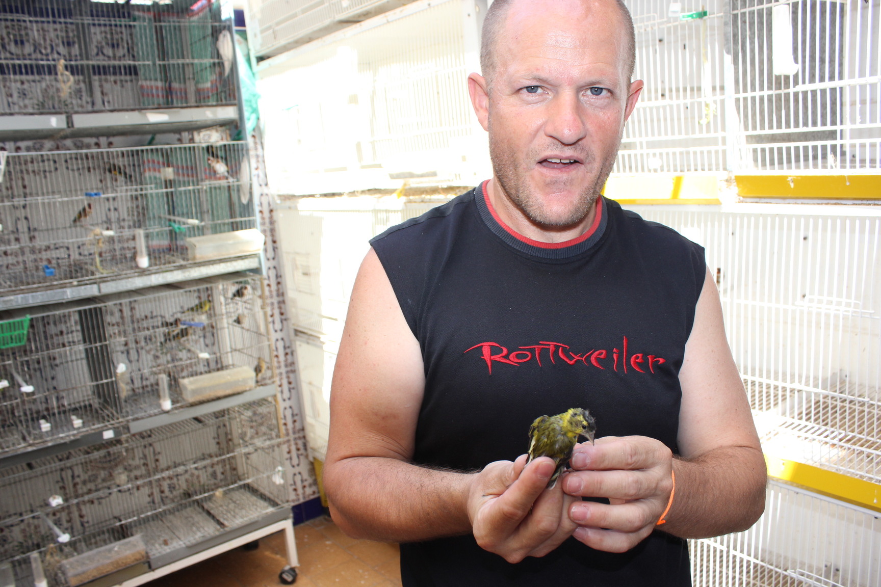 Cortandole el pico al Lugano de Moy!