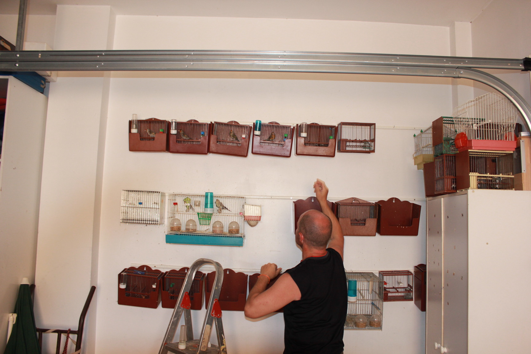 Molestando a mis mixtos en otro espacio!