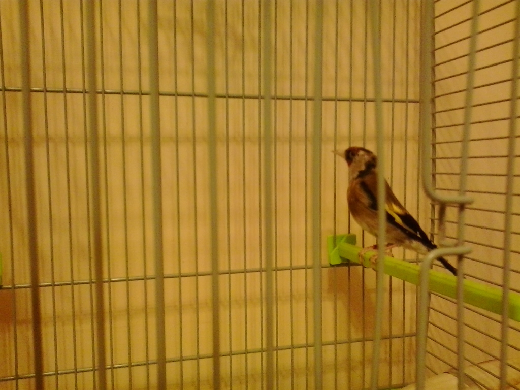 2013-07-30 21.46.21.jpg