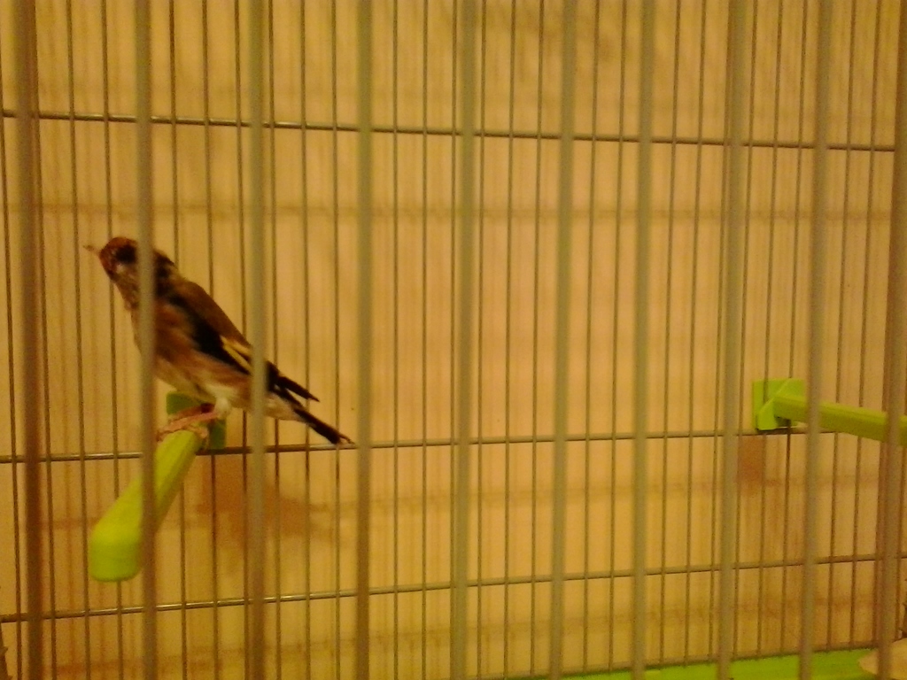 2013-07-30 21.46.32.jpg
